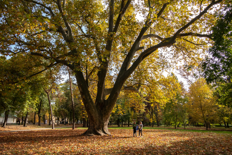 Szallas.hu: Budapest, Eger és Pécs az őszi utazók kedvenc városai
