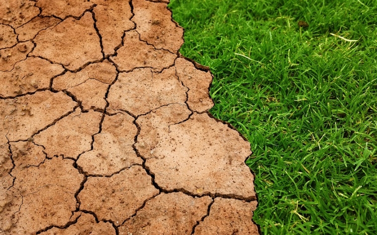 Szakértő: Magyarországon nincs klímakrízis, de fel kell készülni a kedvezőtlen változásokra